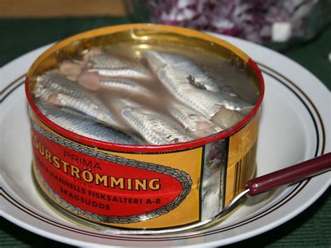 Swedish Surströmming – Everything You Need To Know .